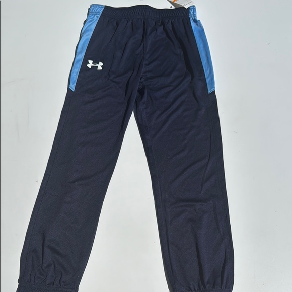 Under Armour Other - Under Armour Blue Active Pants